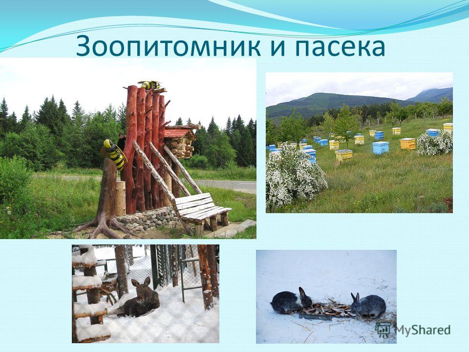Николай васильевич мороза