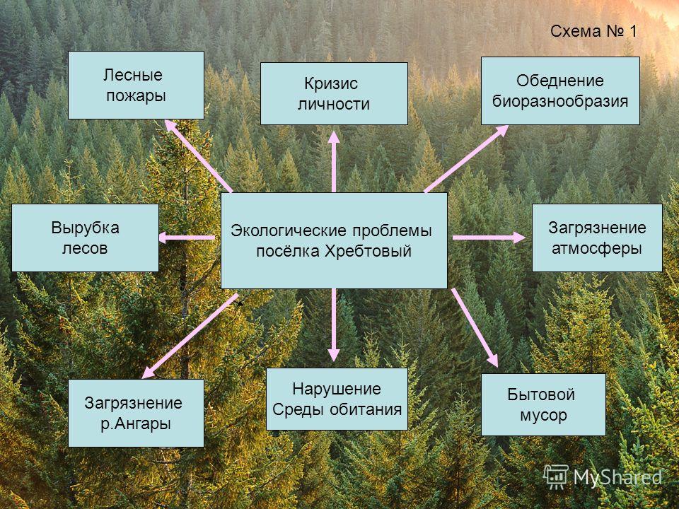 Реферат: Экологические проблемы России 3