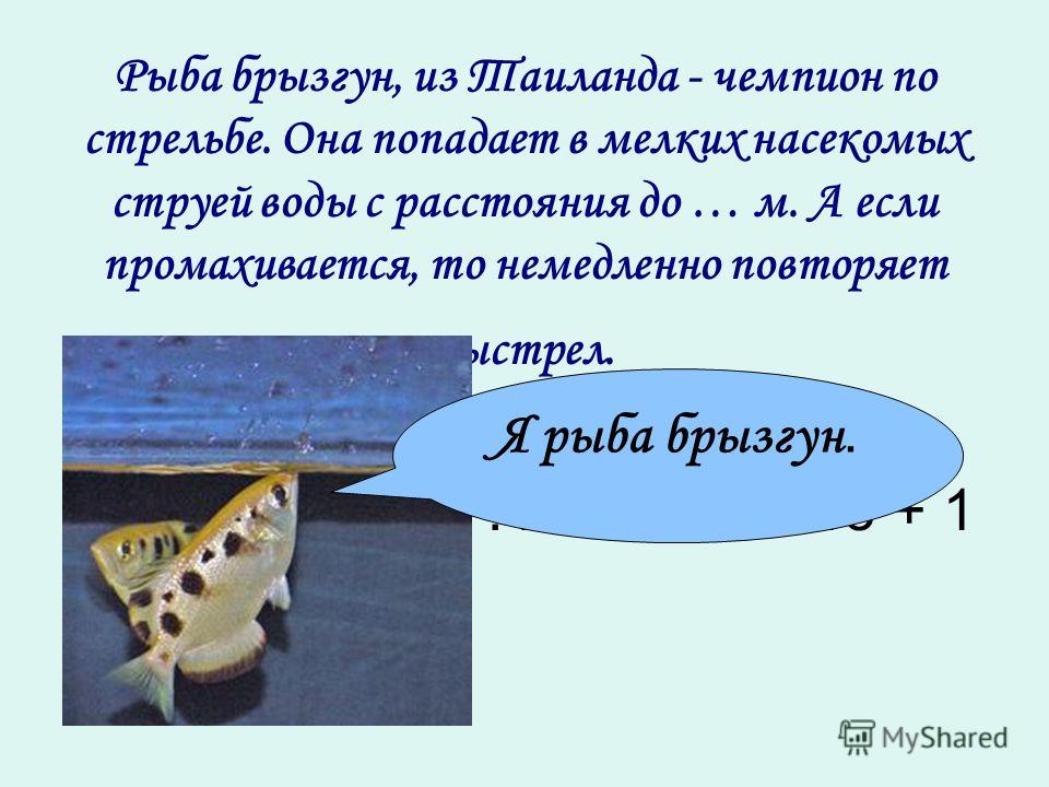 Скачать зрение минус 2 это сколько процентов