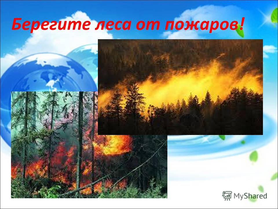 Картинки берегите природу нельзя рвать Картинки берегите природу нельзя рвать