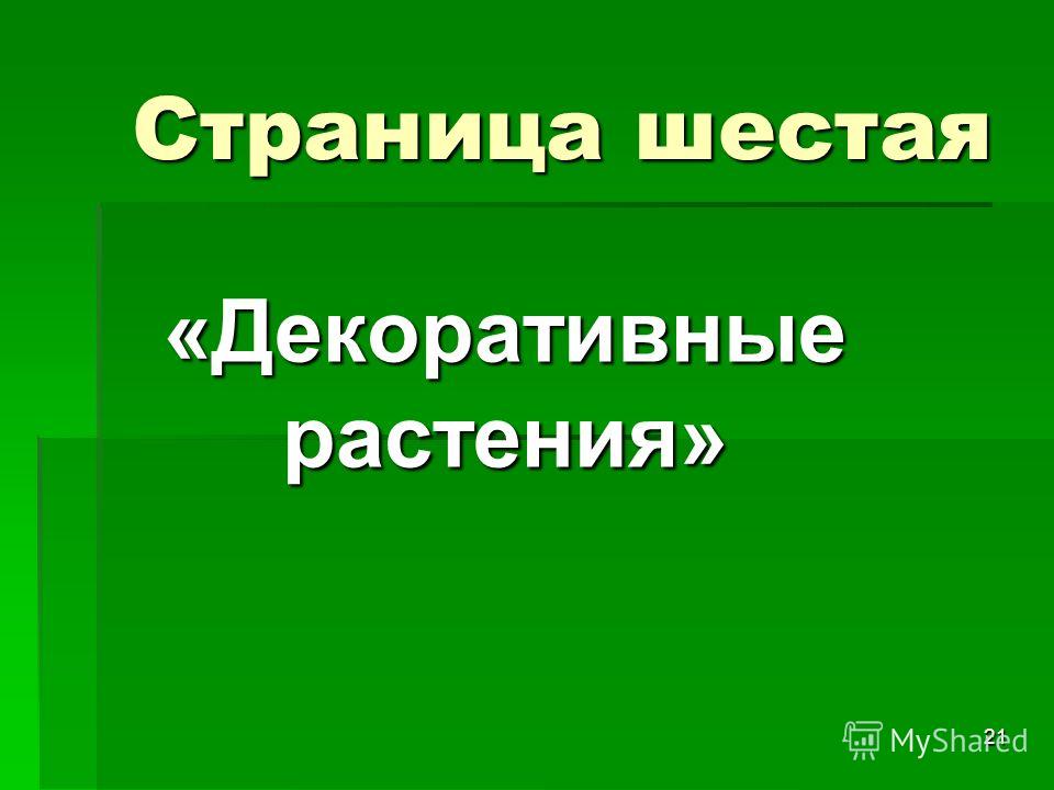 Презентация на Тему Зерновые Культуры