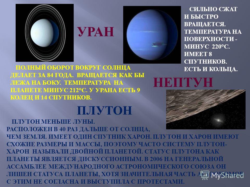Все стихи Александра Твардовского на одной странице Вольеры для собак (фото домик для питомца своими руками)