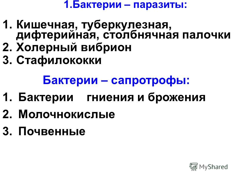 бактерии паразиты и бактерии полезные для человека бактерии паразиты и бактерии полезные для человека