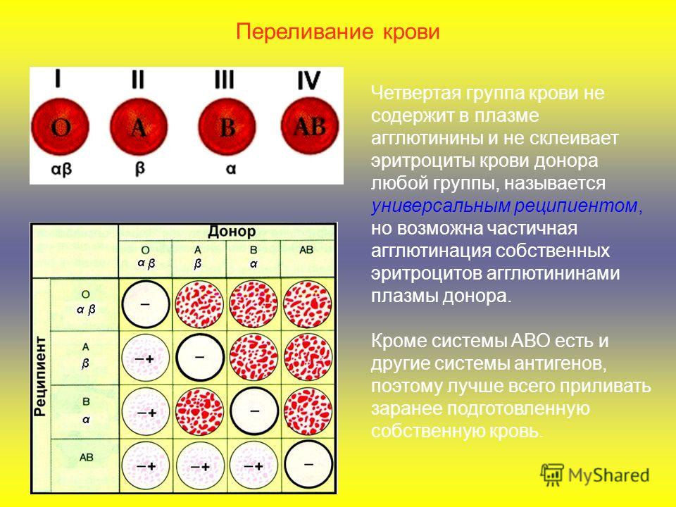 Все роддома в Тамбове, отзывы, цены Детский сайт Малышам инфо Визанна (таблетки) Отзывы врачей и пациентов