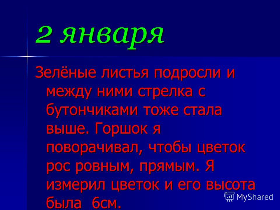 Цветок рос и пах Цветок рос и пах