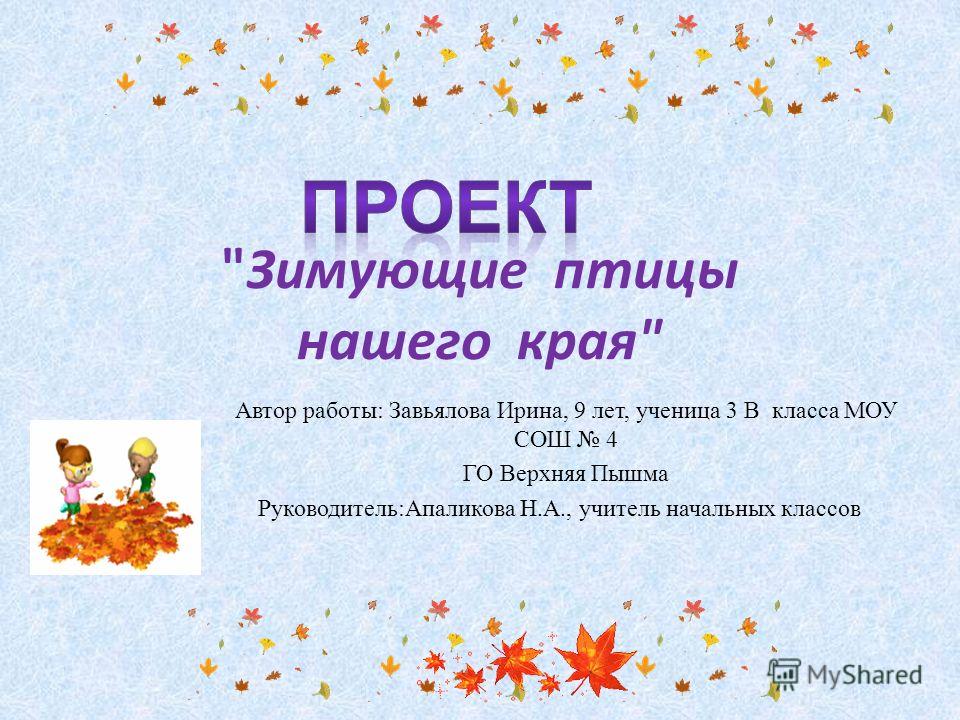 Зимующие птицы картинки воронеж Зимующие птицы картинки воронеж