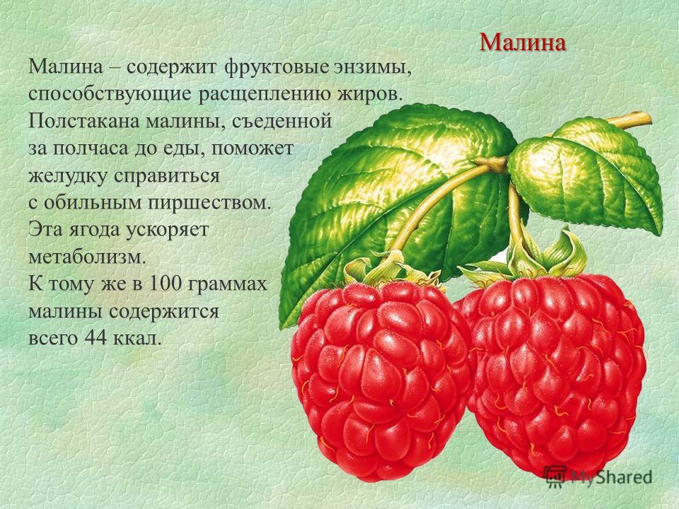 Детская песня ягодка малинка скачать