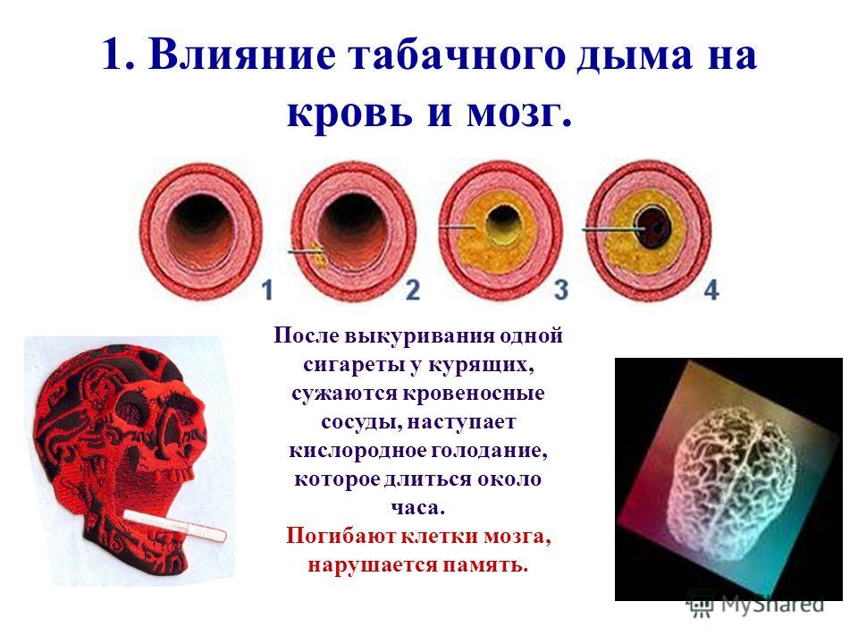 купить сапоги европейка