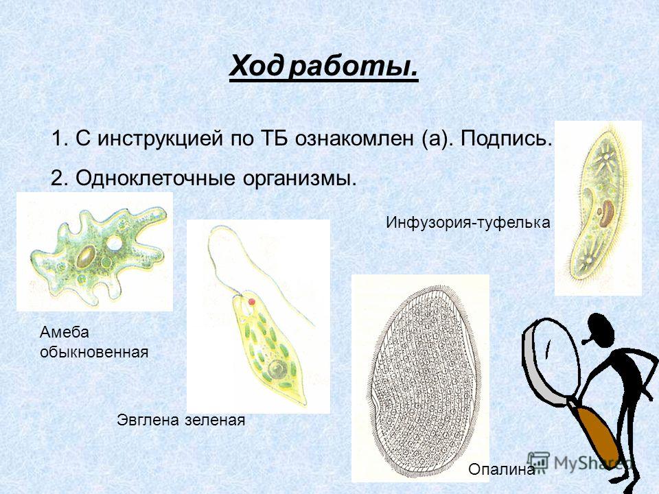 Греция Греция