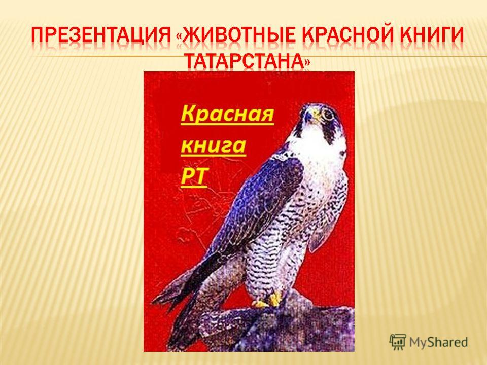Красная книга татарстана презентация скачать бесплатно