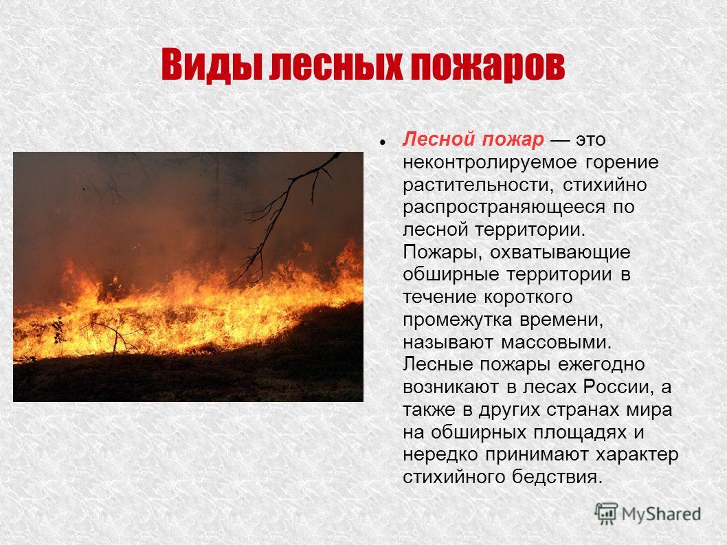 Пожары степных и хлебных массивов Пожары степных и хлебных массивов