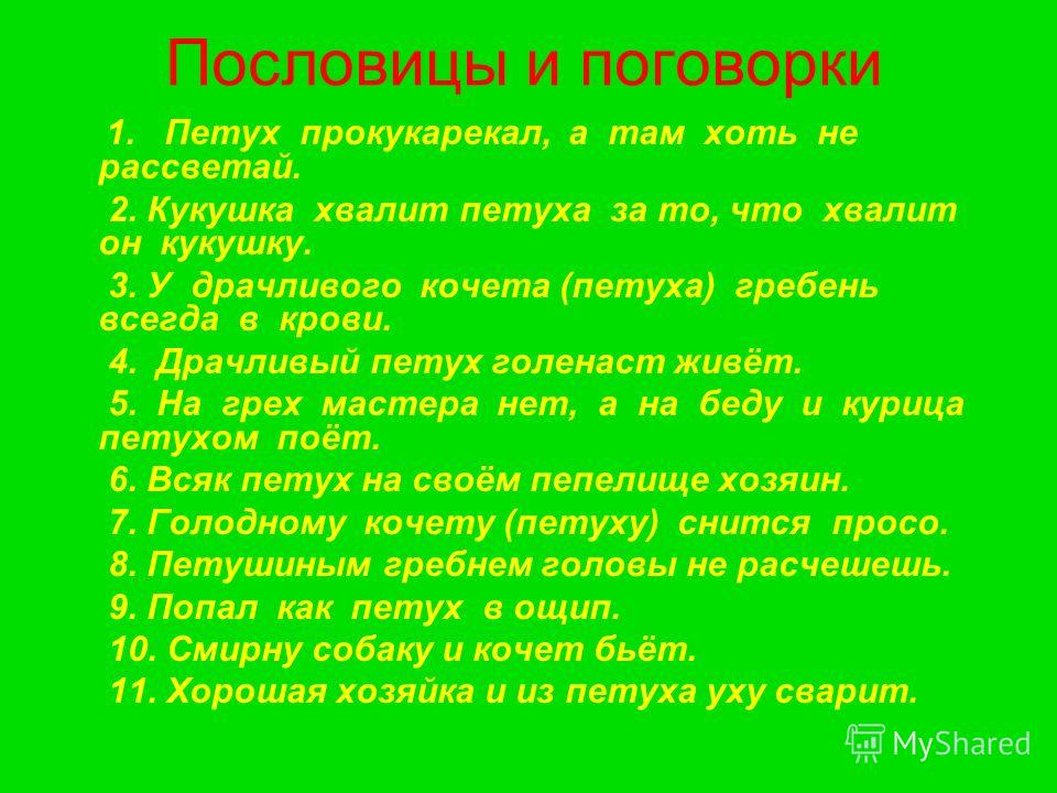Программу Слава Петуху 1