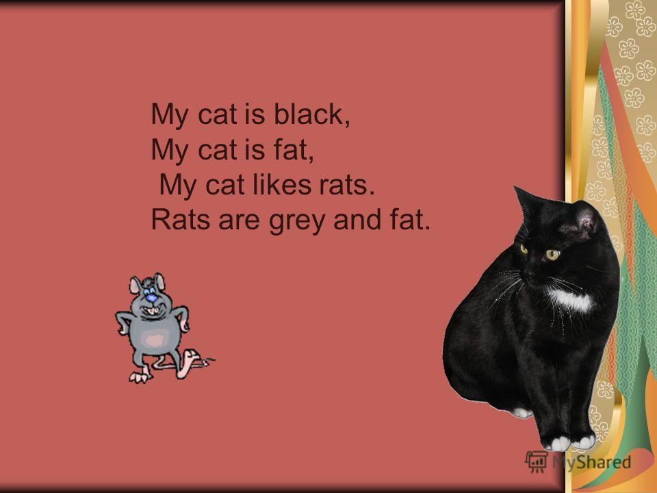 My cat is black, My cat is fat, My cat likes rats. Rats are grey and fat.