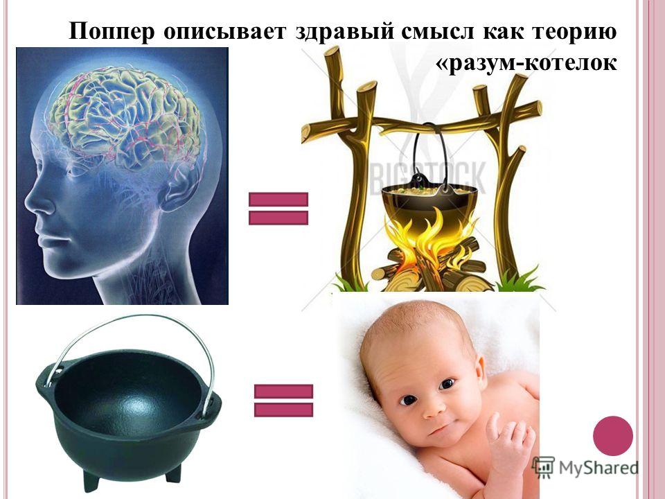 к. поппер и принцип фальсификационизма к. поппер и принцип фальсификационизма