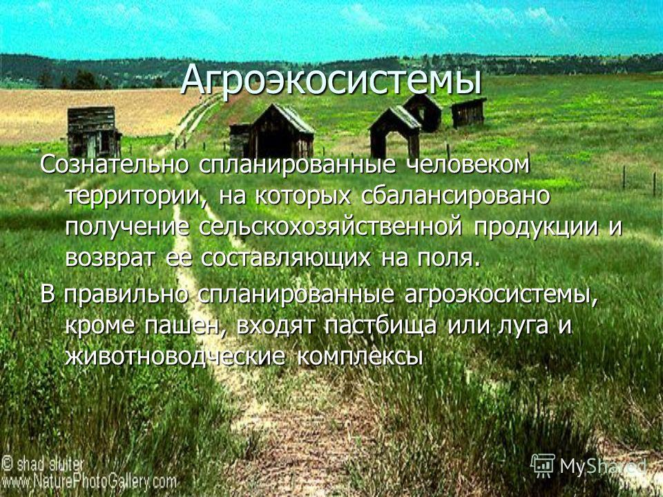 паразиты человека травы паразиты человека травы