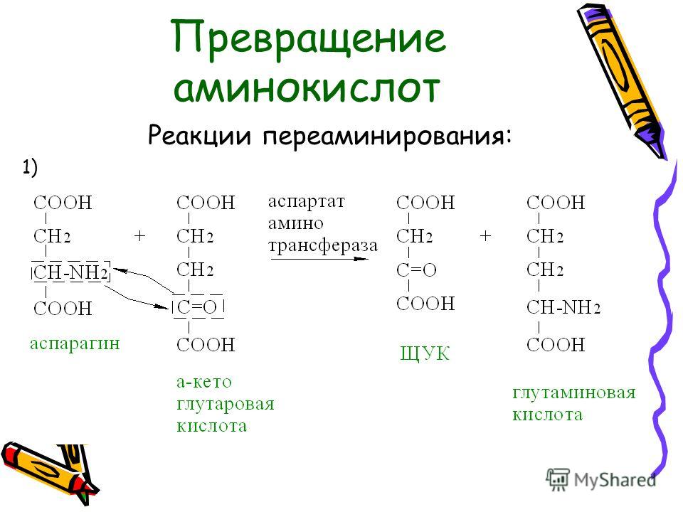 Презентация на тему: "Переваривание белков в ЖКТ: Ротовая полость ...