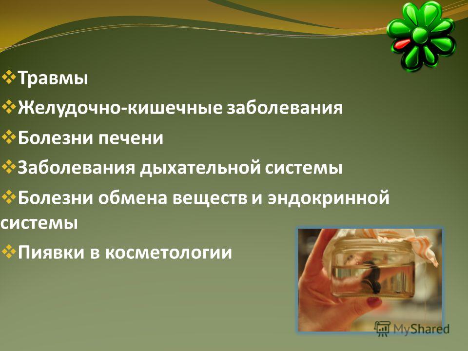 глазные паразиты у человека глазные паразиты у человека