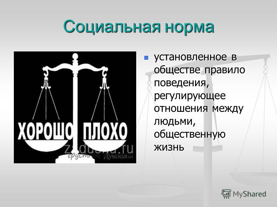 Установленные обществом отношения между людьми Установленные обществом отношения между людьми