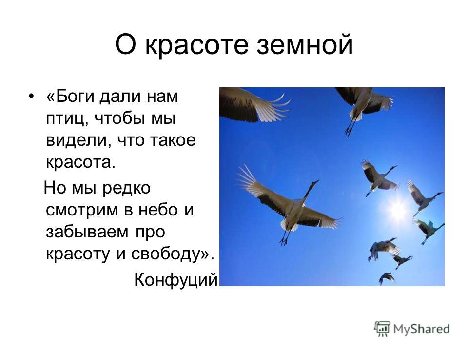 Сброс уровня чернил Epson L100, L200, L110, L210, L300, L350, L550 Распаковка: Ёршик для бутылок видео