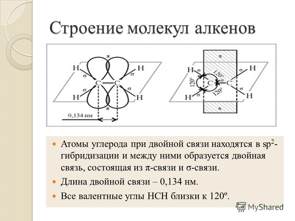 Лучшая прикормка для сазана своими руками летом 1001 узор для вязания спицами и крючком