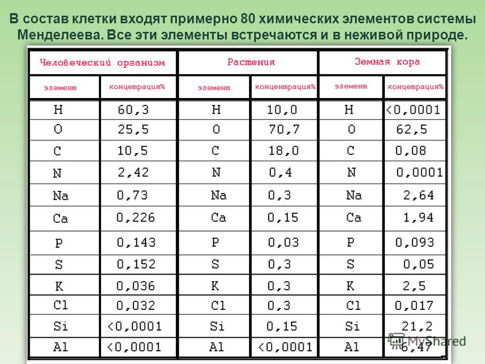 какой химичесик элемент входит в состав какой химичесик элемент входит в состав