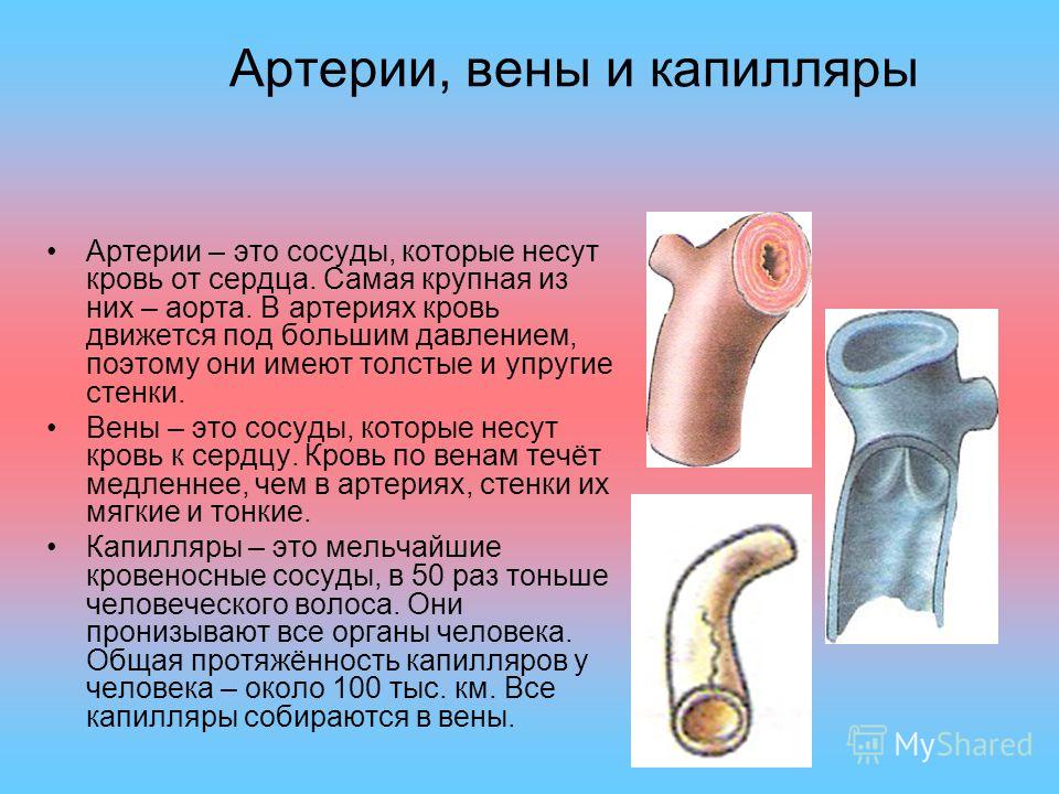 Варикоз глубоких вен нижних конечностей лечение