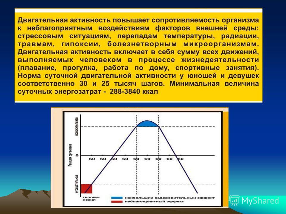 Реферат По Физкультуре Двигательная Активность