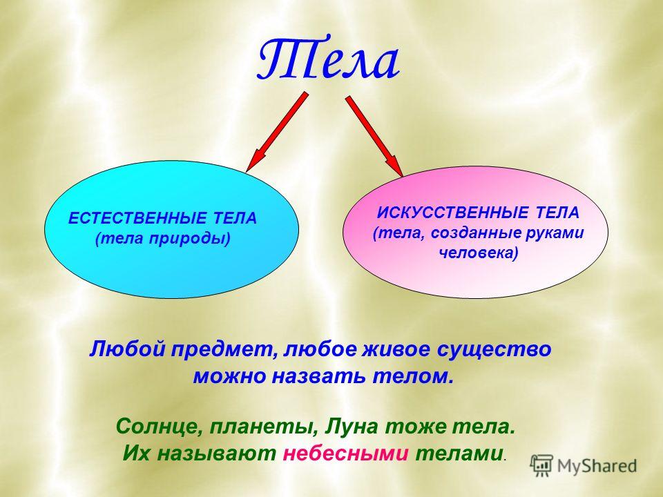 Что не относиться к телам живой природы Что не относиться к телам живой природы