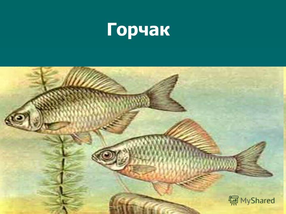 103