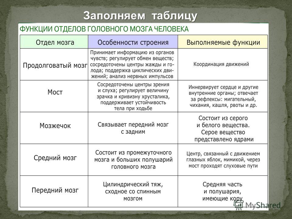[PUNIQRANDLINE-(au-dating-names.txt) 26 Контрольная работа строение и функции головного мозга 4907