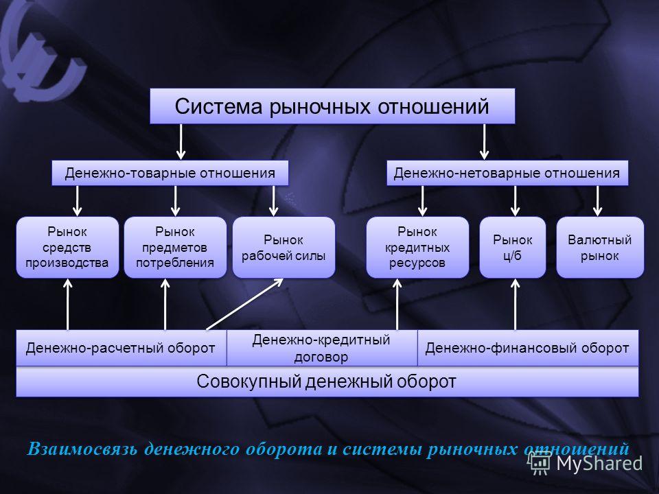 Показать каналы в зубах Показать каналы в зубах