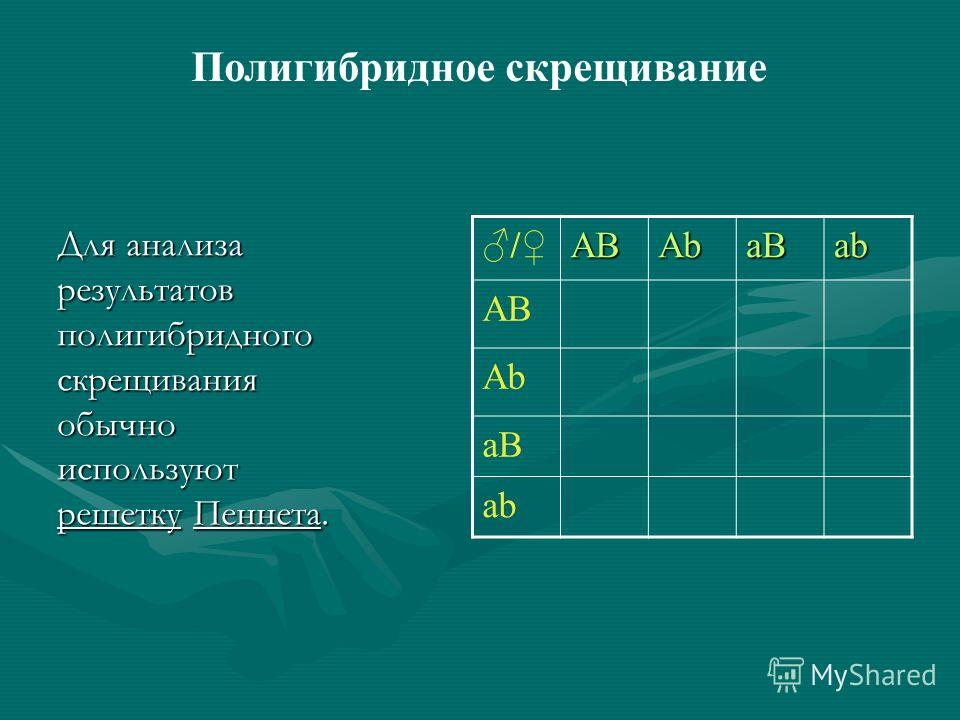 Анализирующее Скрещивание Позволяет Установить