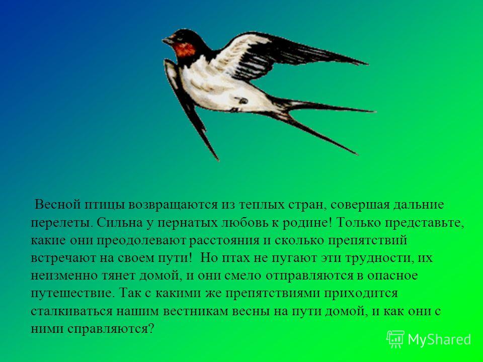 Стих о возвращении птиц Стих о возвращении птиц