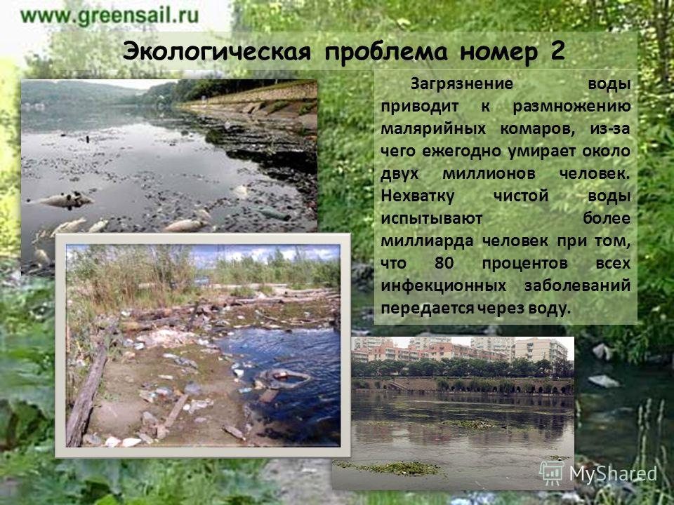 размножение малярийного паразита в крови человека происходит размножение малярийного паразита в крови человека происходит
