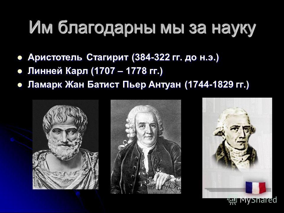 Реферат краткая история развития биологии 6326