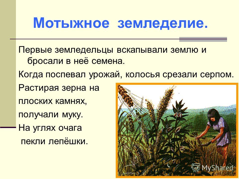 Сочинение Про Земледелие 5 Класс История Сочинение Про Земледелие 5 Класс История