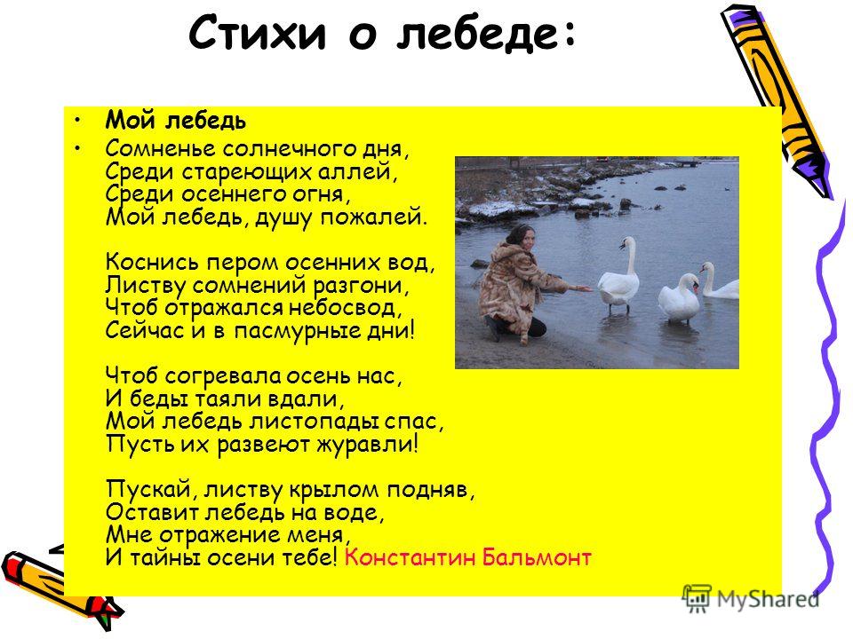 Стих про лебеденка Стих про лебеденка