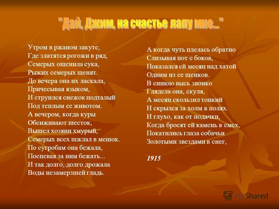 Поздравление родителей жениха на свадьбе на татарском языке Поздравление родителей жениха на свадьбе на татарском языке