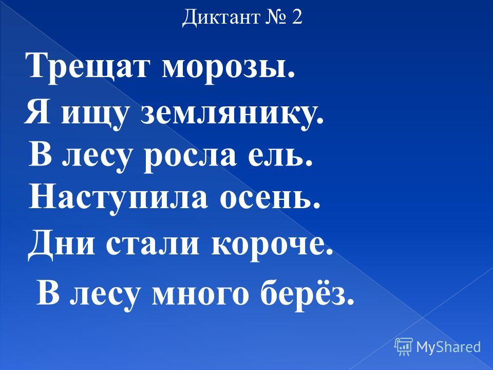Диктант Для 5 Класса В Лесу
