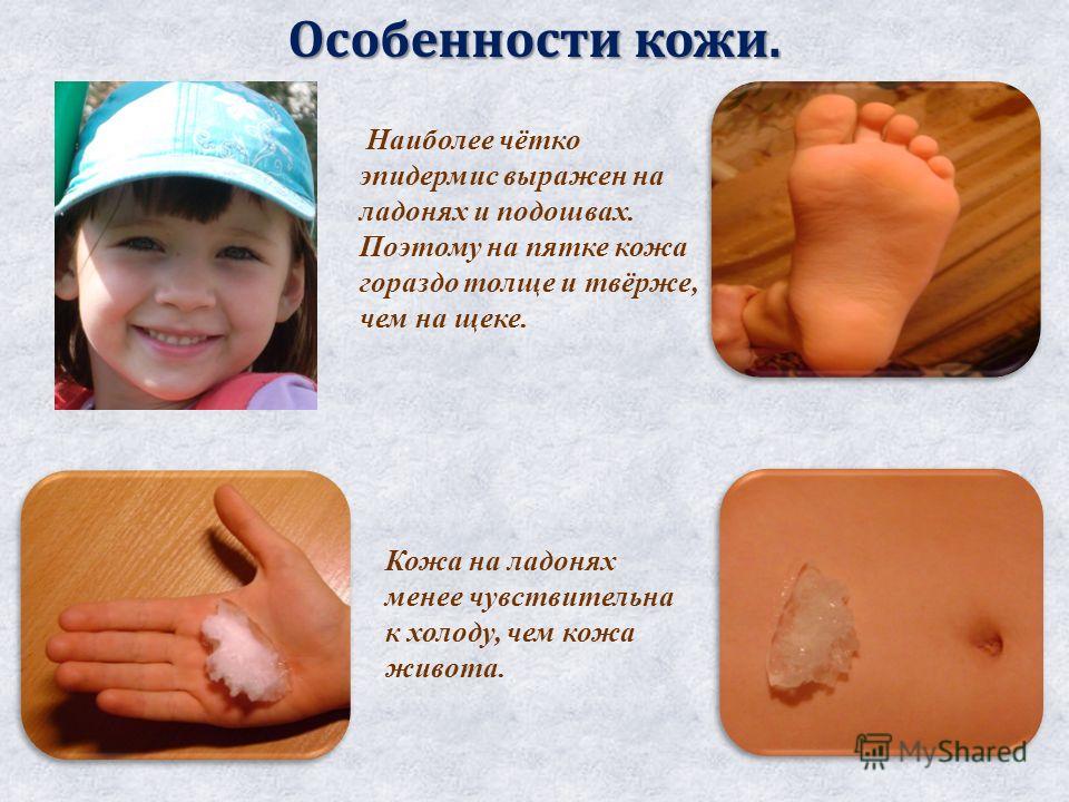 Исследуй свою кожу Исследуй свою кожу