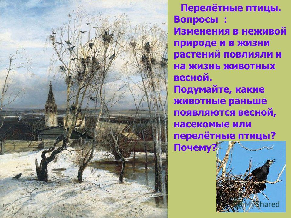 Цветные картинки о весне птицы и растения Цветные картинки о весне птицы и растения