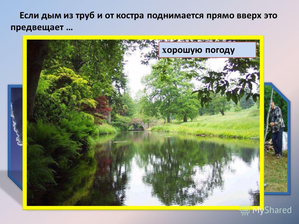 Погода на две недели на староминскую