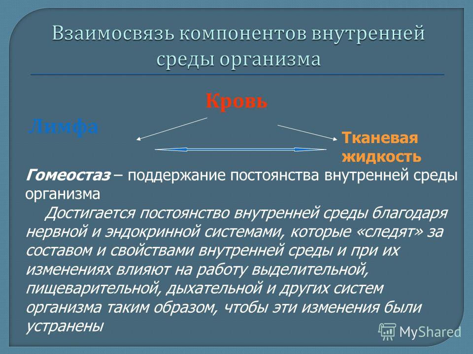 Файл:Bior8 17 1.jpg - Гипермаркет знаний