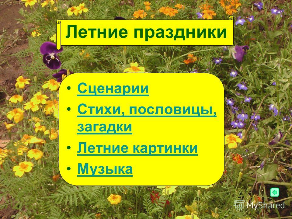 Аргументы и Факты: новости России и мира, картина дня на Cached