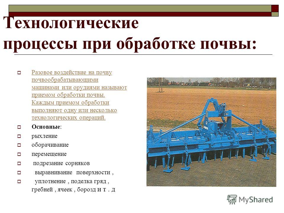 Доклад: Санитары и рыхлители почвы