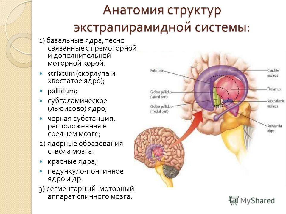 Что такое связанные ядра Что такое связанные ядра