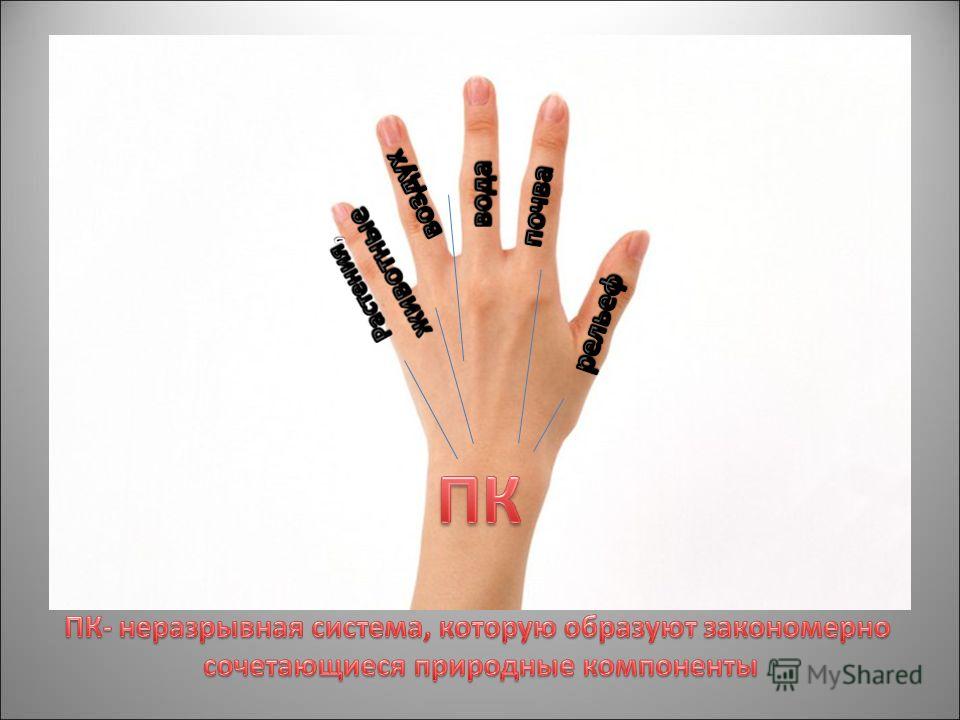 проститутки калининградской области города советска калининградской проститутки калининградской области города советска калининградской