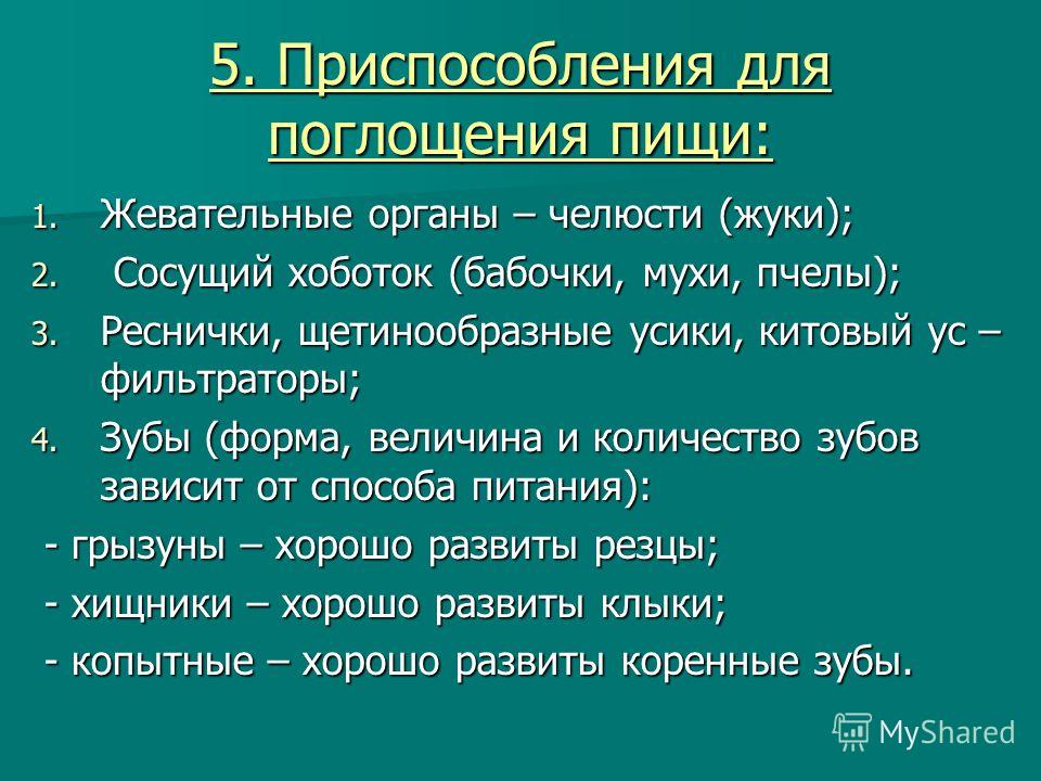 приспособления паразитов к жизни в организме хозяина приспособления паразитов к жизни в организме хозяина
