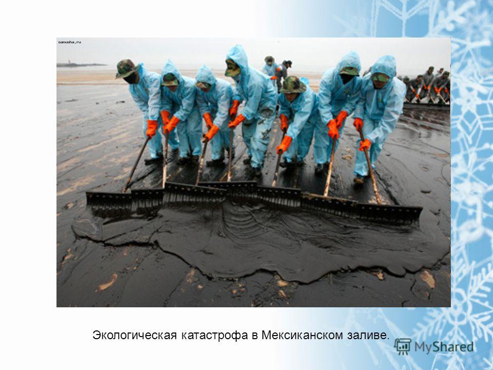 environmental disaster essay Buy environmental disaster essay paper online a human race is considered to be the greatest biological force in terms of the scale of its activities with possessing all the advantages of the modern technical and scientific evolution, humanity started to subdue nature and began to perform the environmental transformations that were impossible. environmental disaster essay Buy environmental disaster essay paper online a human race is considered to be the greatest biological force in terms of the scale of its activities with possessing all the advantages of the modern technical and scientific evolution, humanity started to subdue nature and began to perform the environmental transformations that were impossible.