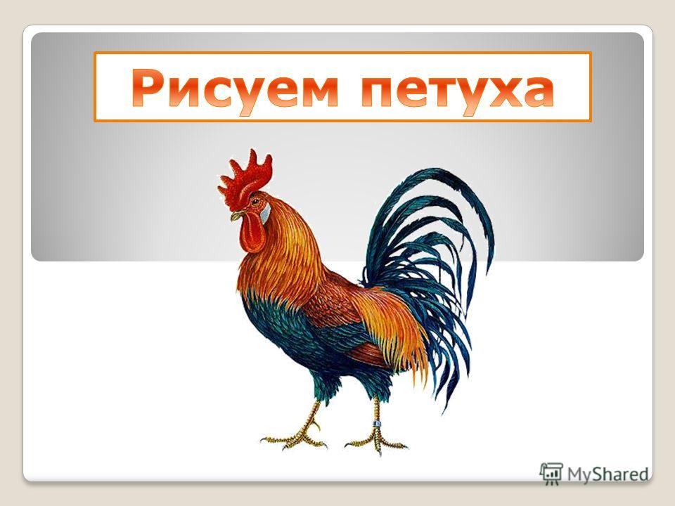 Презентация к уроку изо поэтапное рисование Презентация к уроку изо поэтапное рисование
